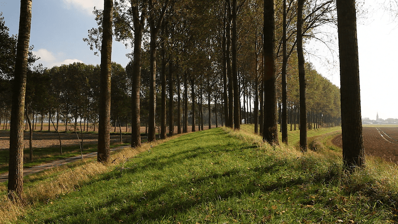 Frank Bruggeman, ‘Observing a polder’, 2011, film, stills: Roel van Tour