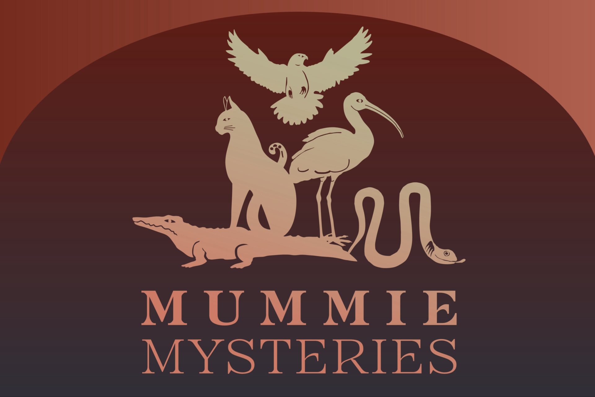 Mummie Mysteries