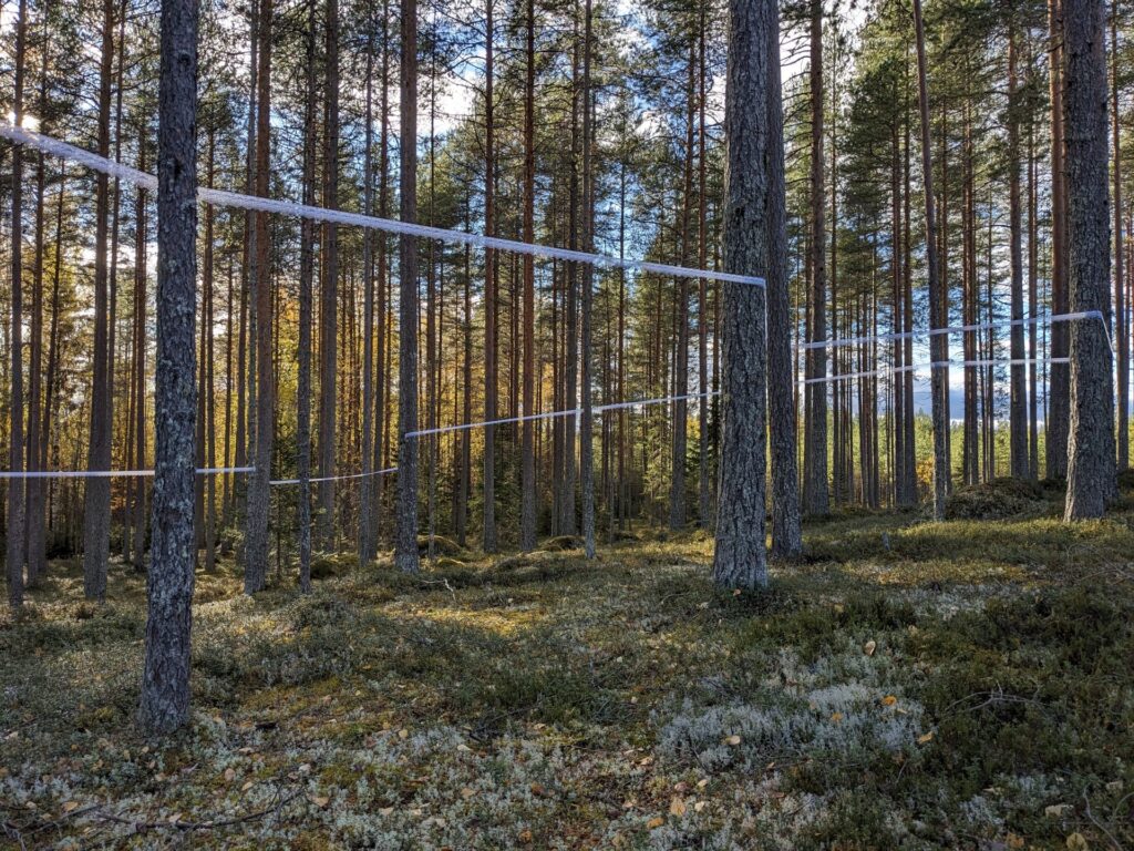 HET HUIS AAN DE BOSKANT - MIRANDA VISSERS