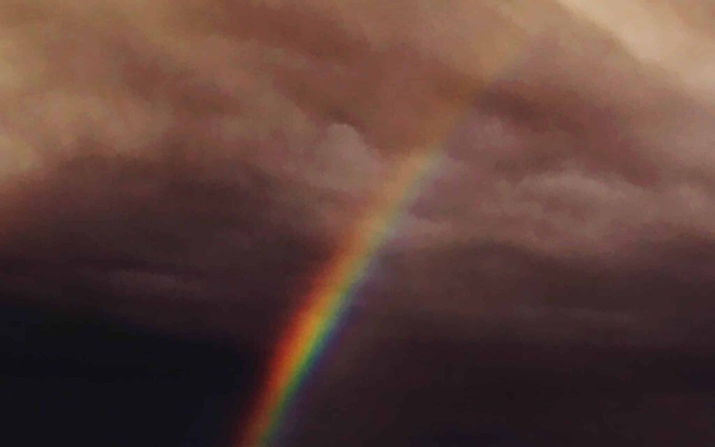 Rochelle Feinstein - The Today Show