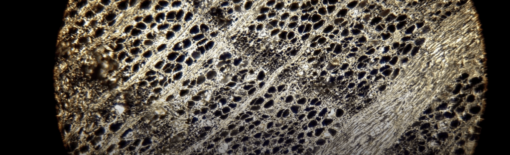 The Studio #10: Eline Kersten