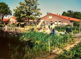 KETAHANAN: Verhalen van veerkracht - 75 jaar Molukkers in NL