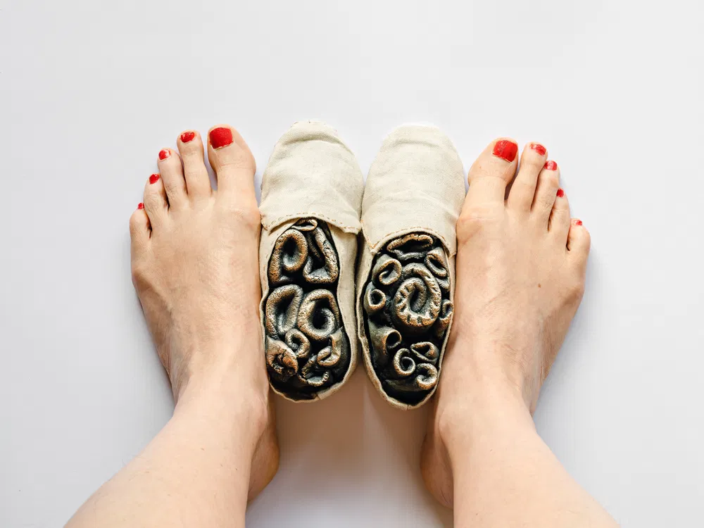 Antennae, Valérie Mannaerts, 2025, © de kunstenaar