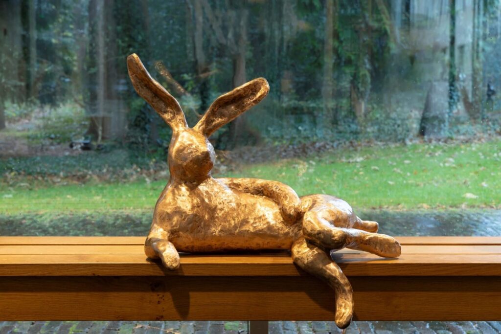 Beeld: Haas Iris le Rutte. Foto Michel Claus