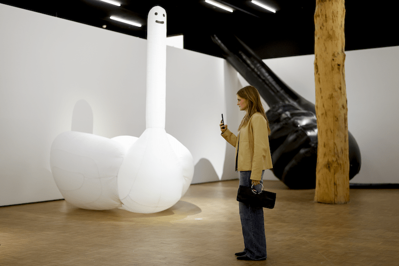 David Shrigley, 'Inflatable Swan Things', 2018