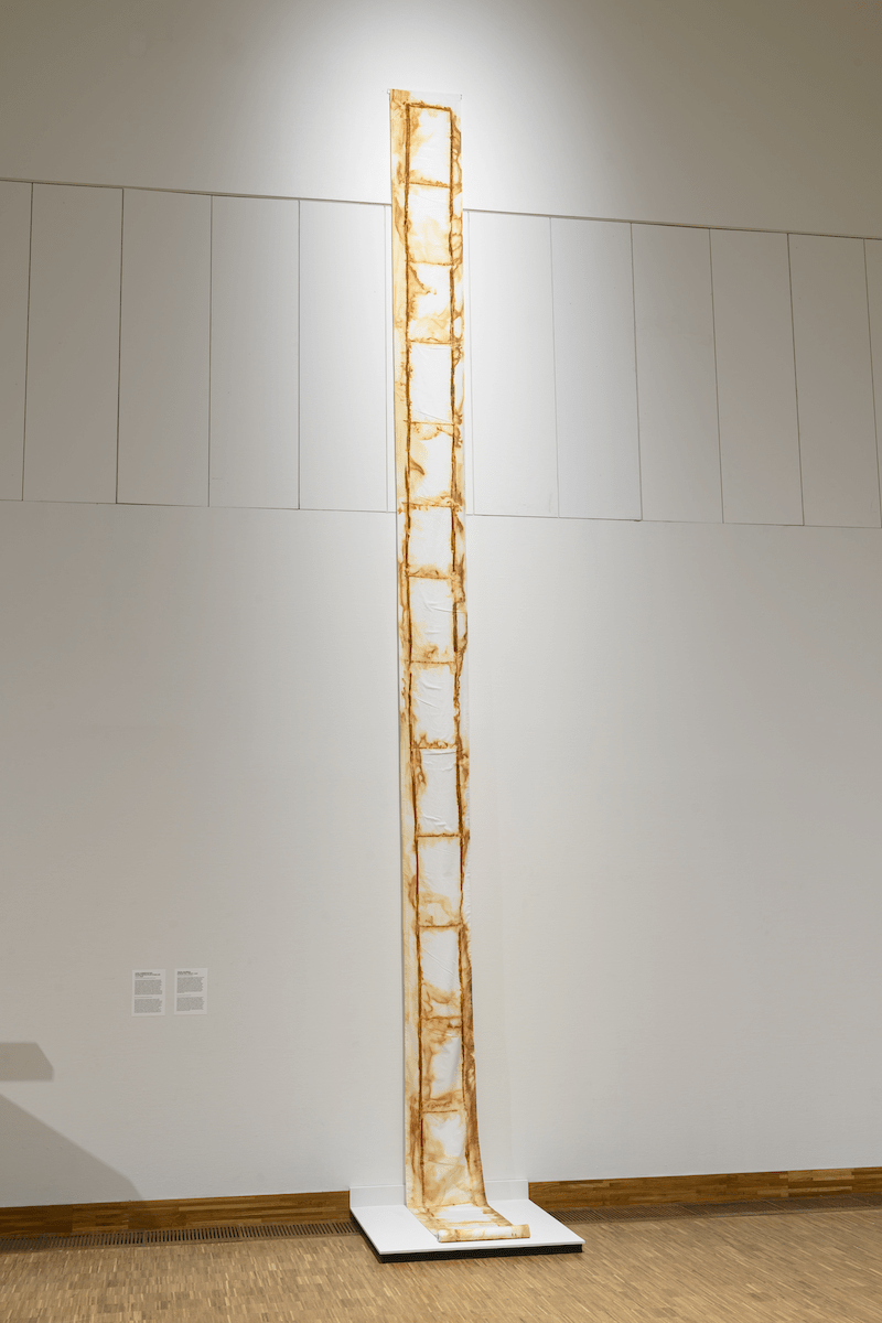 Tanya Aguiñiga, 'Border Fall Height', 2025, foto: Peter Cox