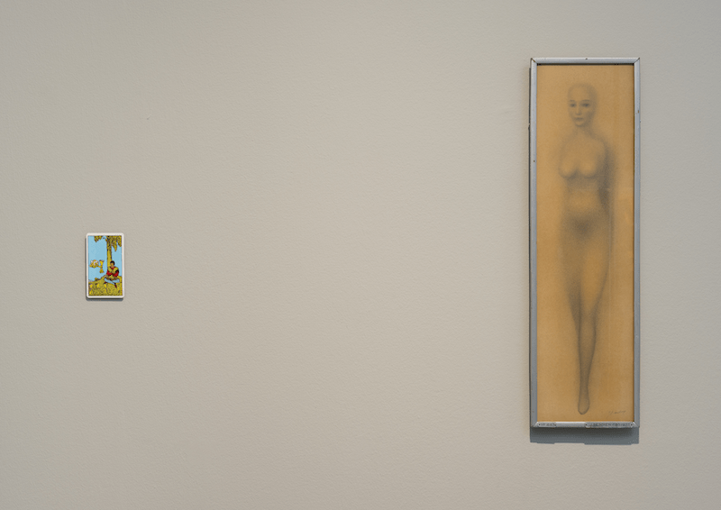 Zaalbeeld 'Shertise Solano - Move you fool', foto: Django van Ardenne