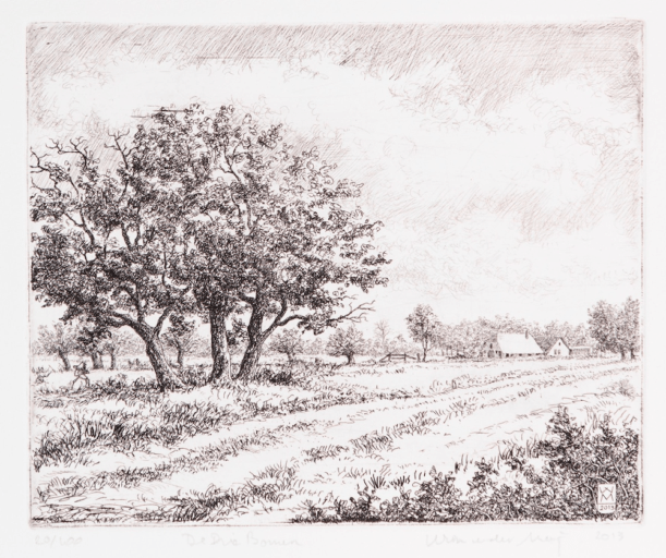 Wim van de Meij, Drie bomen. Wim van der Meij, ‘Drie bomen’