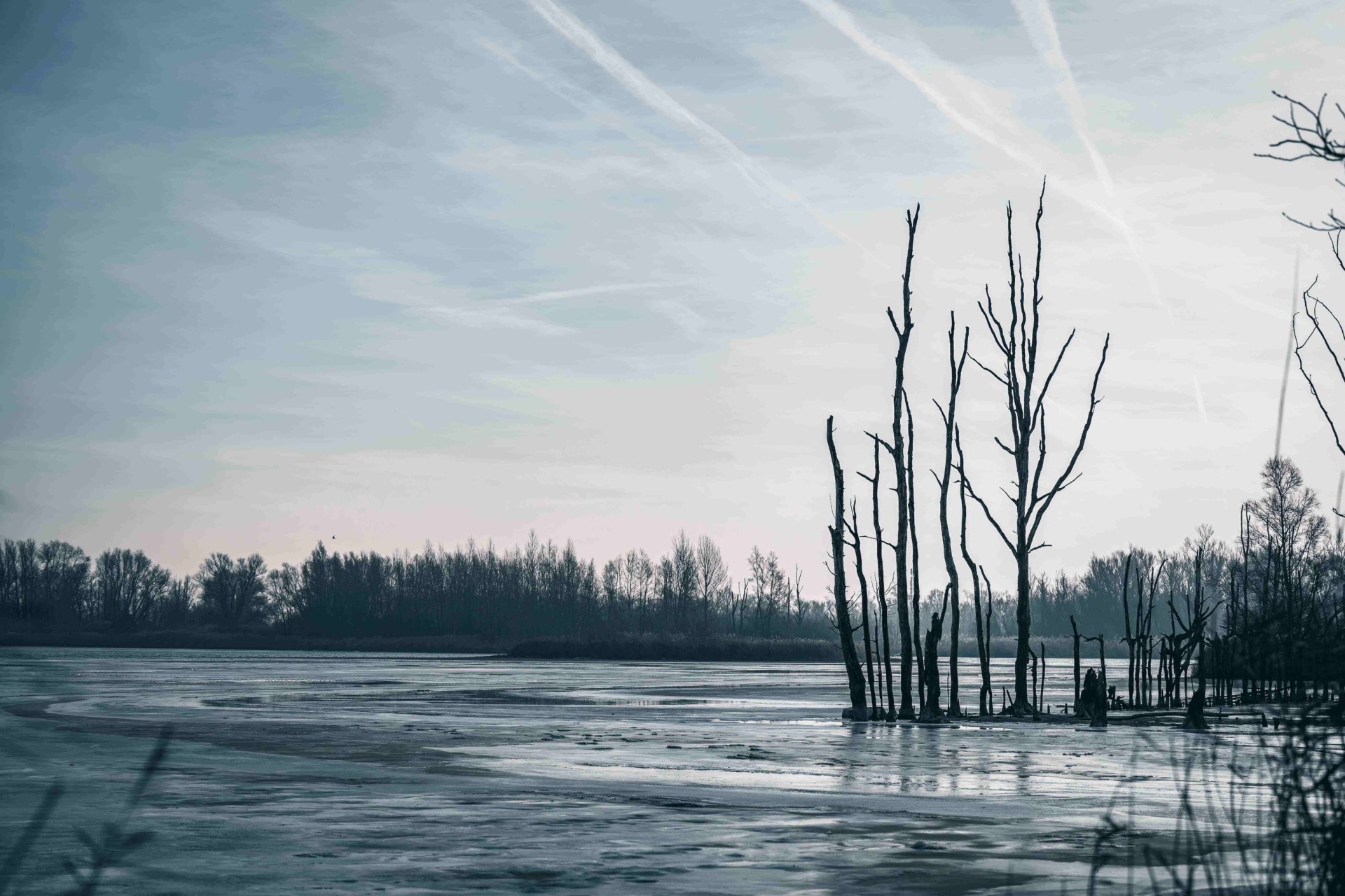 15 jaar Fotoclub Image Totaal Nieuwendijk