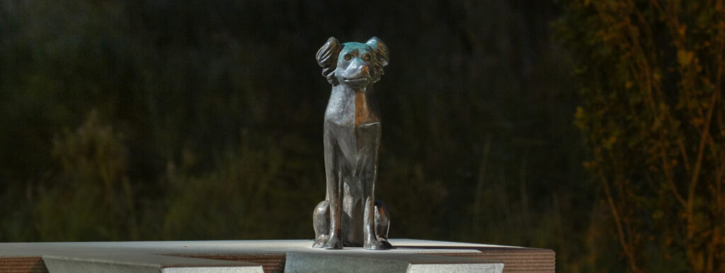 Marc Ruygrok - Letters worden Beelden