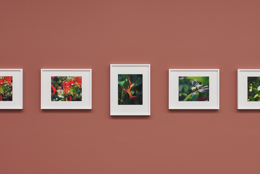 Steve McQueen, ‘Bounty’, 2024, foto: Antoine van Kaam