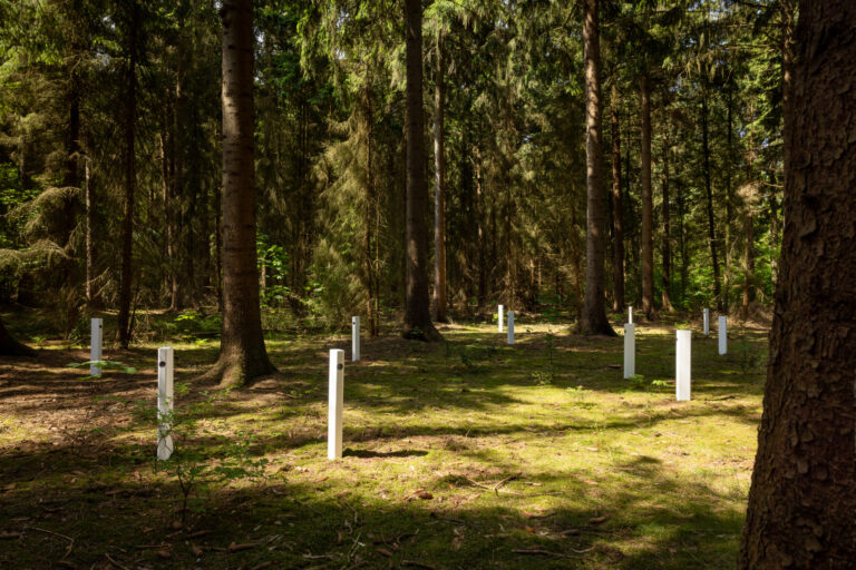 Bouke Groen, ‘Relate’, 2026, foto: Robin Meyer