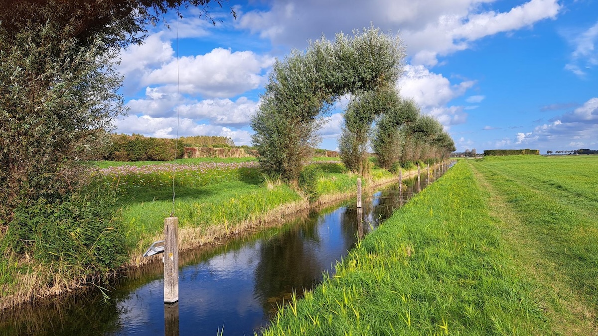 Fietsen door het landschap van De Ploeg in Groningen