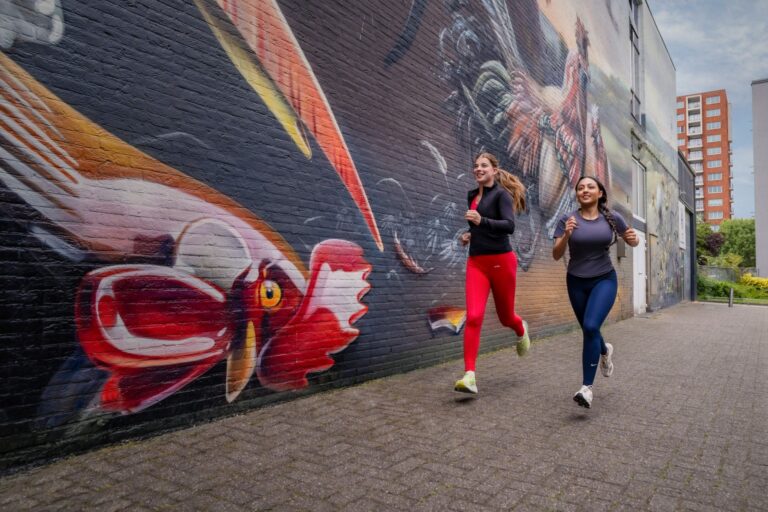Mural van Super A en Collin van der Sluijs, geïnspireerd op het schilderij ‘Kippen en eenden’ van Melchior d’Hondecoeter, foto: Frank van der Burg