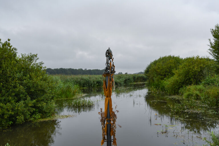Nils Alix-Tabeling - Into Nature Haunted by Waters 2026 - foto Heleen Haijtema -webformaat-1 Werk van Nils Alix-Tabeling, foto: Heleen Haijtema