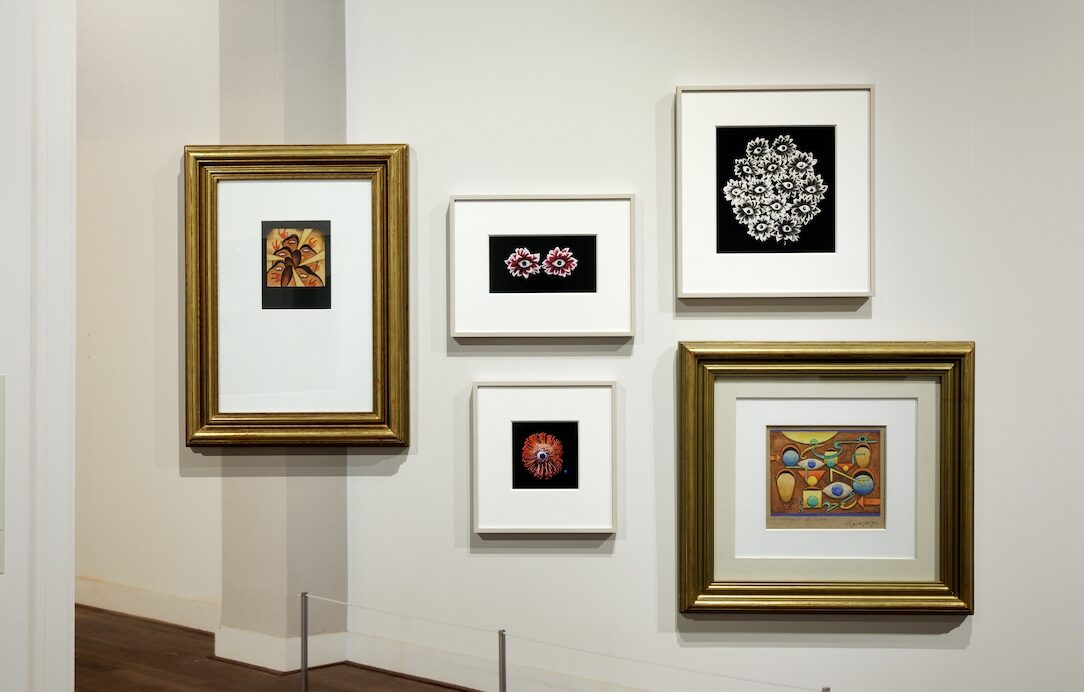 Runderogen, tarotkaarten en een draaiend hoofd in Wereldmuseum Rotterdam