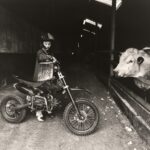 Eva Roefs, uit de serie ‘Brabant’, 2025-doorlopend